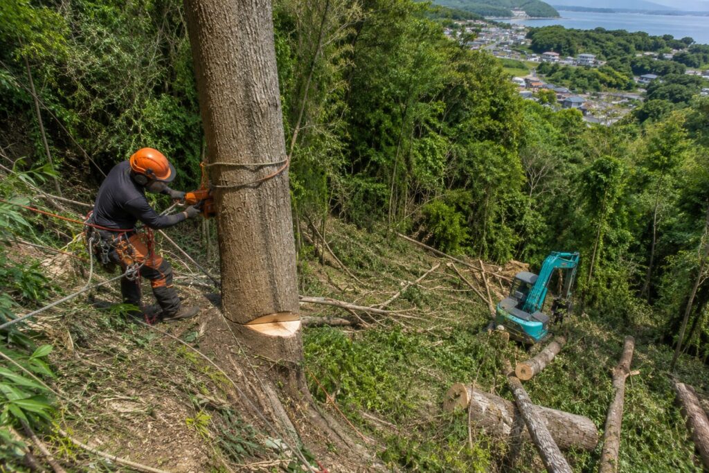 名護市やんばるの大木伐採の進め方は？山際・傾斜地で必要な安全対策