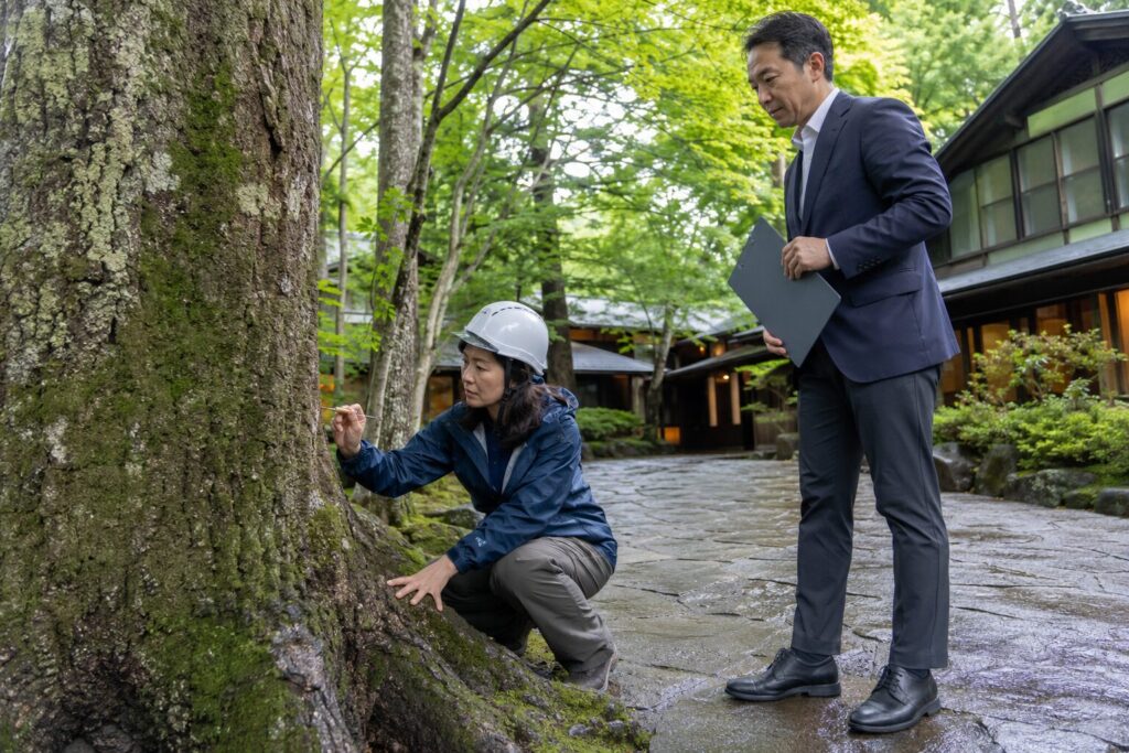 枯れ木にシロアリや蜂の巣が？放置で広がる二次被害と処理の順番