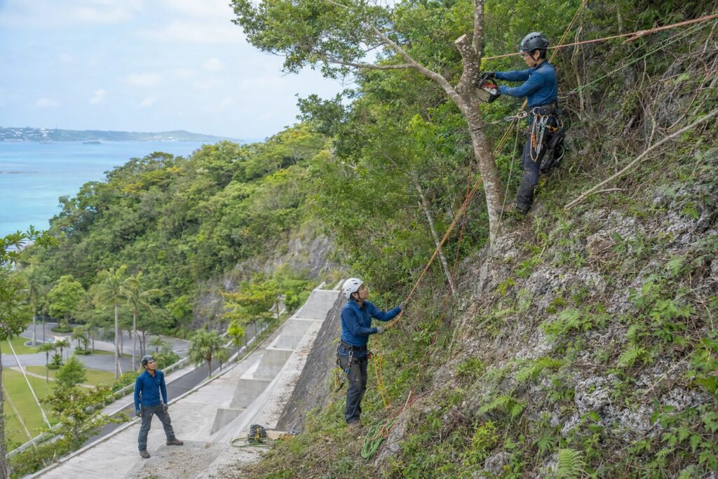 崖や斜面（法面）の木の伐採は危険？沖縄の地形で必要な対策とは
