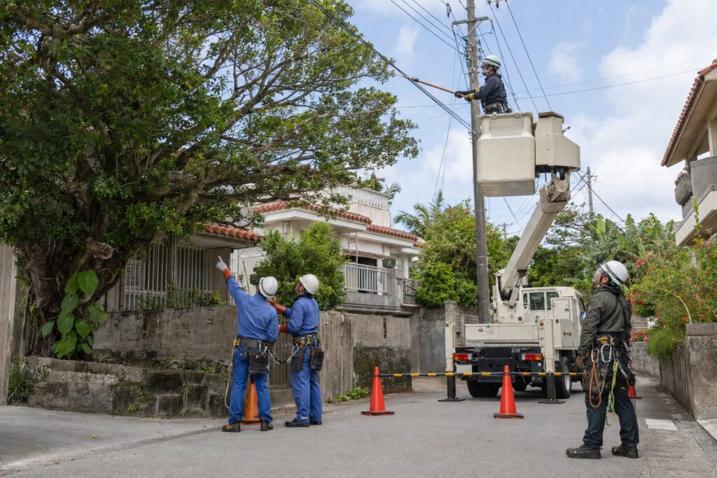 電線にかかった木の伐採はどうする？沖縄電力への連絡と業者の役割