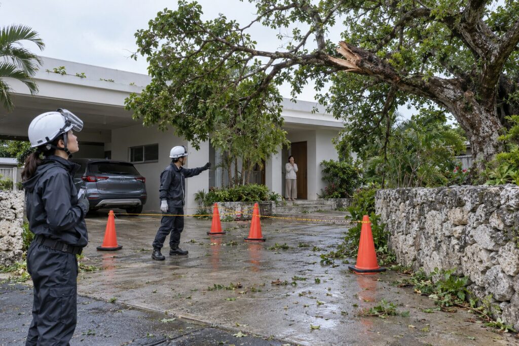 台風で折れかけ・倒れかけた木の緊急対応は？すぐ頼むときの流れ
